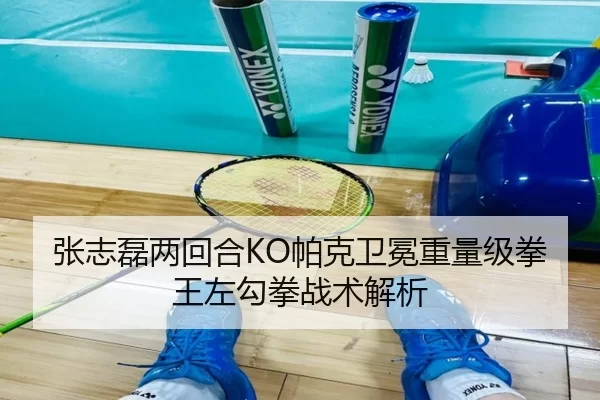 张志磊两回合KO帕克卫冕重量级拳王左勾拳战术解析